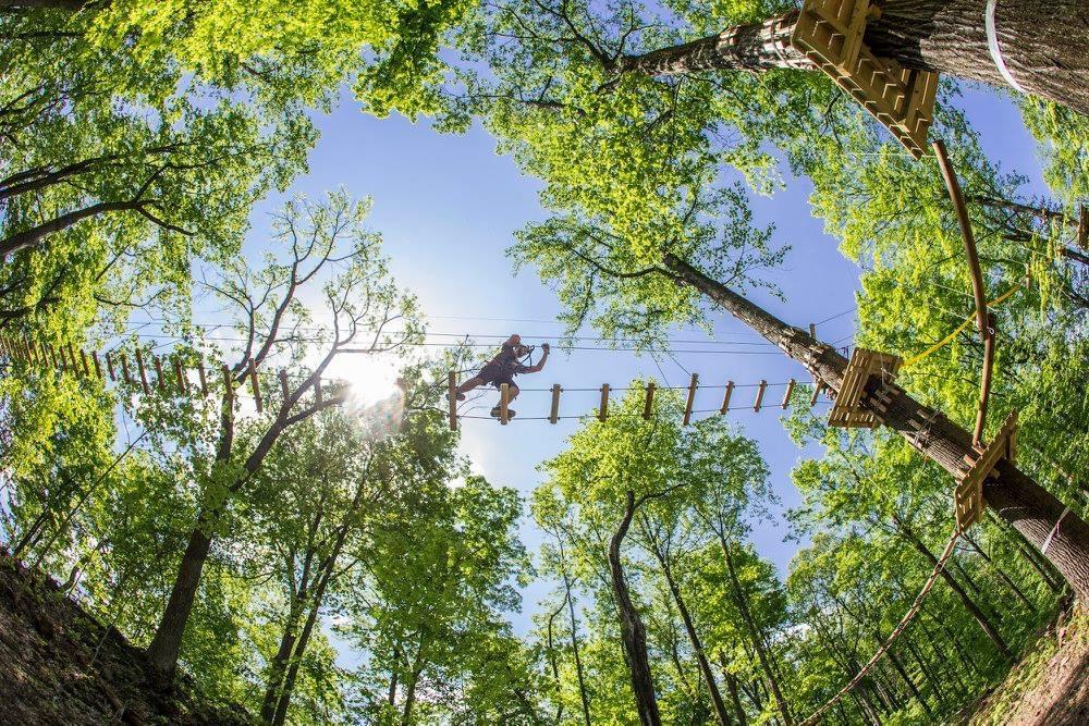 The Appalachian At Mountain Creek Hotel 4*